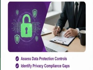DPDP – Internal Audit Services - Nipto Coins LLP - NC401